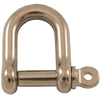 stainless D shackle